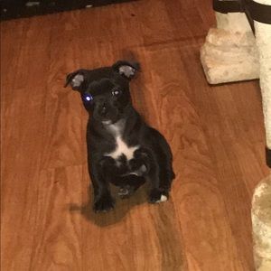 Meet your Posher, Eduardo